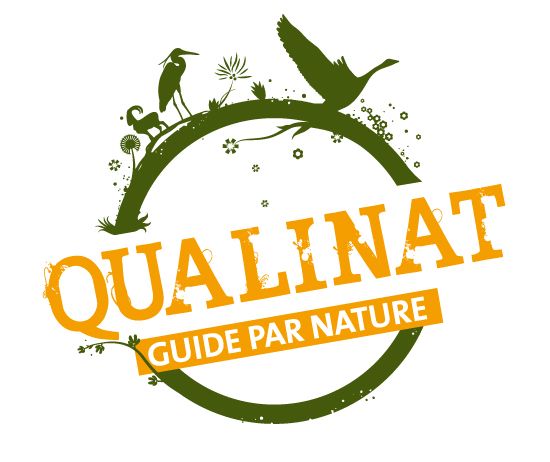 Qualinat - amélie rollandeau - DA & graphistes
