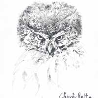 Chiara Bonotto - DA & graphistes