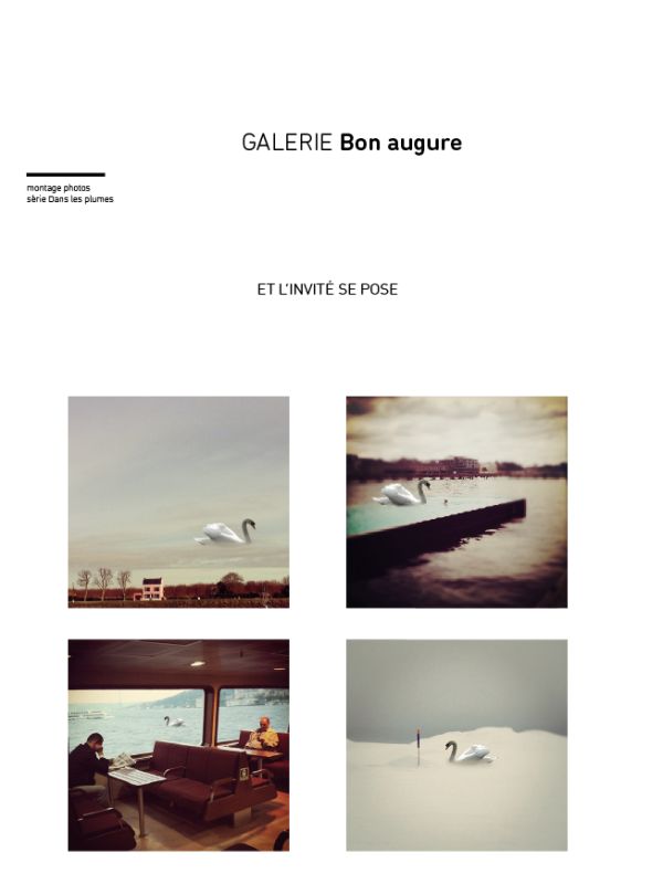 Les augures - sophie dusigne - DA & graphistes
