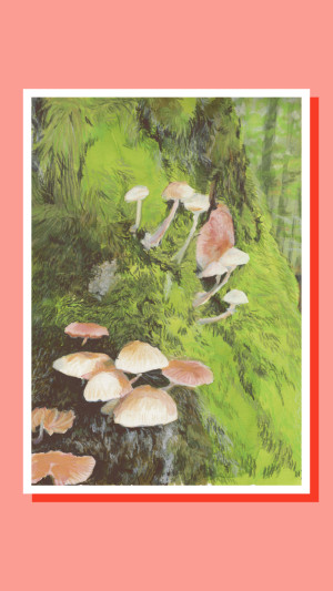 Les champignons - juliette marmonier - Produit créatif