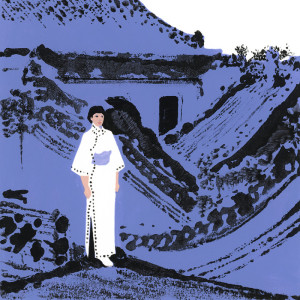 La Concubine - vanessa vérillon - Produit créatif